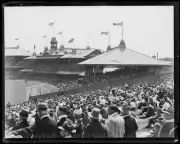 Crowds watching a game at the Sydney Cricket Ground Sydney 1931 Old Photo