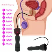 16 Mode Penis Plug Vibrator Vibrating Dilator Sound USB Rechargeable Sex Toys AU