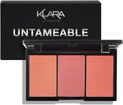Klara Cosmetics 3 shades palette Untameable Contour Blush Eyeshadow Highlight...