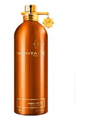 Montale Miele Aoud - EDP - Volume: 100 ml