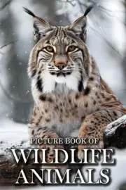 Wildlife Animals: Picture Books For Adults With Dementia And Alzheimers Patients