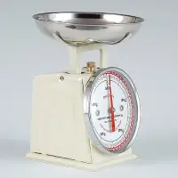 在飛比找Yahoo!奇摩拍賣優惠-復古磅秤 500g Dulton Diet Scale 象牙