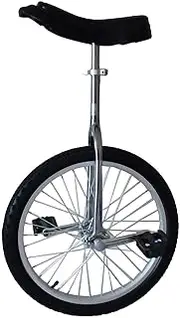 20 Inch Unicycle Single-Wheel Competitive Bicycle for Adult Exercise Bike Acrobatic Bike, Steel Ring Aluminum Alloy Ring Optional (Color : Aluminum Ring, Size : 20Inch) Durable TDF