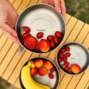 Ultralight Titanium Plate for Outdoor Dining for Camping and Picnics