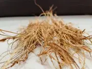 100% Organic Coconut Husk Fiber - Orchid Anthurium Soil Pet Bedding Ceylon- 100g