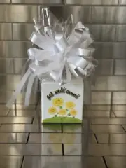 Get Well Soon Lotus Biscoff Cookies Gift Basket-Box Wrapped With White Bow