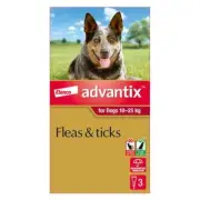 Bayer Advantix Dog 10-25kgs Large 3 & 6 Pack Flea Tick Treatment Canine Spot On