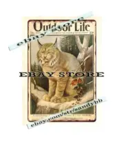 nostalgic wall art 1929 wallart BOBCAT LYNX COUGAR wildlife metal tin sign