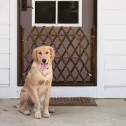 Portable Expandable Accordion Dog Gate Screen Door Fence for Lawn Outdoor