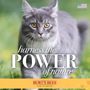 BURT'S BEES 寵物沐浴露系列 貓296ml 毛貓寵
