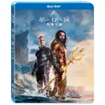 【得利】水行俠失落王國 BD