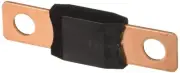 Bussmann BP/AMG-200RP (1 EACH)