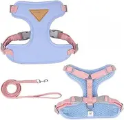 Puppy Harness Leash Set for Small Medium Dog Cat Vest Breathable Pet Chest Strap French Bulldog Poodle Pet Supplies (Blue,XS 2-3 kg)