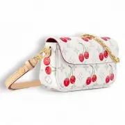LOUIS VUITTON x Takashi Murakami M14239 Wallet on Chain Ivy Cherry 2025