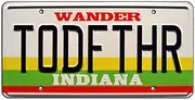 Stranger Things | TODFTHR | Metal Stamped License Plate