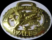 WELSH DRAGON Horse brass (N175)