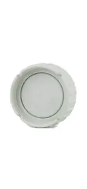 Zodiac C Series Blank End Cap - Clearwater Salt Chlorinator Cell Spare - Genuine