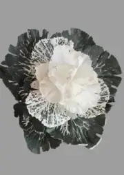 Mini ornamental artificial cabbage with stem