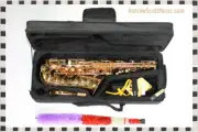 Gold Alto Saxophone in Case - New + 10 Extra Reeds