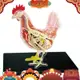 紅白雞4d大師益智拼裝玩具動物生物器官解剖教學模型解剖qeufjhpoo1