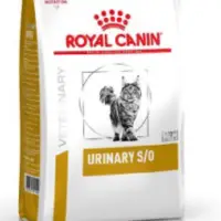 在飛比找蝦皮購物優惠-🐾浪花乖乖🐾ROYAL CANIN 皇家 貓 LP34 泌尿