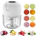 Manual Hand Press Garlic Onion Dicer Vegetable Food Chopper Cutter Processor