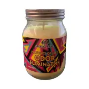 Special Blue Odor Eliminator Burns 7.0 Hours 13 Oz