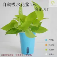 在飛比找momo購物網優惠-【Gardeners】自動吸水花盆5入套組diy(水耕盆/花