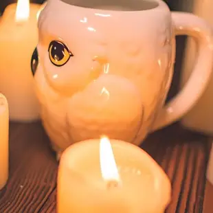 哈利波特周邊海德薇貓頭鷹立體浮雕陶瓷馬克杯咖啡杯水杯生日禮物