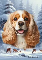 Cocker Spaniel Buff/White Winter Wonderland Flag
