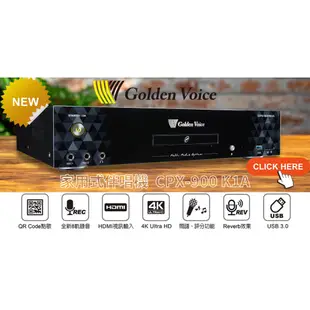 【Golden Voice 金嗓電腦】 CPX-900 K1A KTV家庭組+SA250 +SK800（不含安裝）