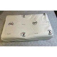 在飛比找Yahoo!奇摩拍賣優惠-ROYAL DUCK 蝶型乳膠枕(兩個免運)