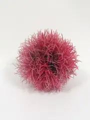 Biorb Aquatic Color Ball Pink Red 3 1/2" Aquarium Decor