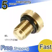 17111712788 Vent Screw Brass Radiator Coolant Bleed Screw For BMW MINI