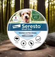 AUTHENTIC, SEALED Seresto SMALL Dog Flea And Tick Collar • 8 Months Protection