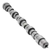 Engine Camshaft Assembly for Chrysler Cirrus Sebring Dodge Plymouth Neon Stratus