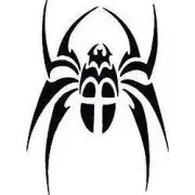 Spider Vinyl Decal Sticker BLACK Cars Trucks Vans SUV Laptops Wall Art