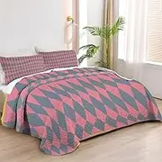 Allenjoy Queen Size Magic and Adventure Quilt Bedspreads Fantasy Animated Film Bed Set Bedding Coverlet Fabric Washable with 2 Pillow Shams SC00251-007