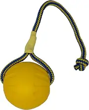 Starmark Swing and Fling Fetch Ball, Large