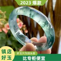 在飛比找蝦皮購物優惠-【✨秋冬新品✨】精品珠寶天然獨龍玉手鐲高冰玉鐲子女士天然玉石