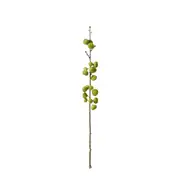 [James Lane] Fig Stem - 15cm x 15cm x 74cm