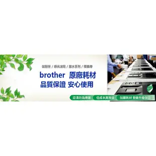 brother DK-22205原廠 連續 標籤帶(62mm x 30.48mm)白底黑字