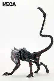 Aliens Kenner Tribute Action Figure (Night Cougar) - 7 Inch