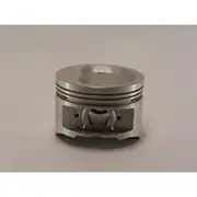 Austral Piston Set - PO734 STD