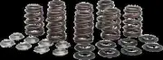 KW Beehive Racing Valve Spring Kit for Harley Freewheeler 17-19