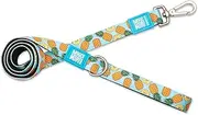 Max & Molly Dog Leash Large, Soft Padding, Ultra Comfortable, Sweet Pineapple