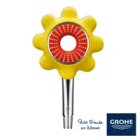 在飛比找momo購物網優惠-【德國GROHE】鬱金香花語蓮蓬頭(26115DG0)