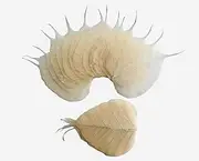RATREE SHOP 100 Pcs Skeleton Natural Ficus Religiosa Leaves Artificial Leaves Craft Card Scrapbook DIY Handmade Embellishment Decoration Art, Mulberry Paper Leaves
