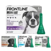 Frontline Plus Spot On Fl*ea, Ti*ck & Lice Treatment for Cats - 3 Pipettes