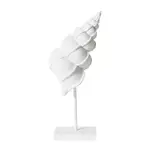 [James Lane] Conch Shell Stand Sculpture - 12cm x 12cm x 35cm